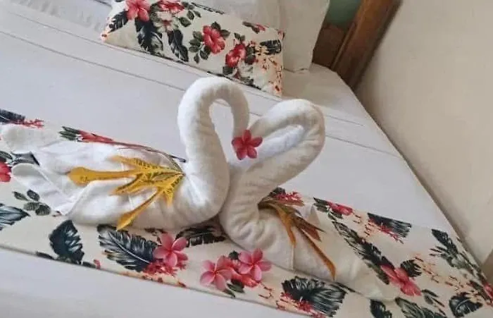 Aloha Surf - Kahala Hui #2 * Nosara